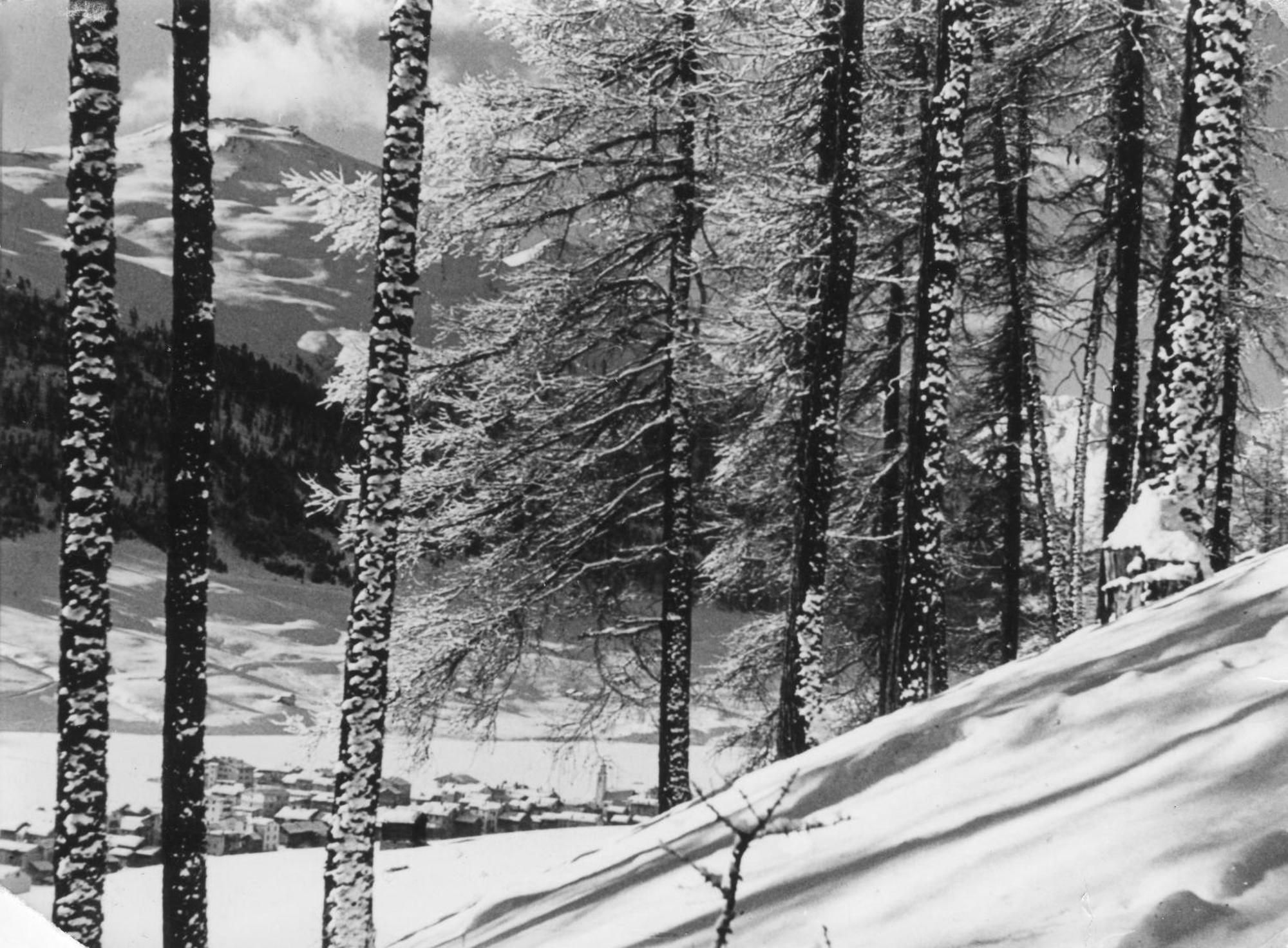Hotel Hotel Livigno Livigno
